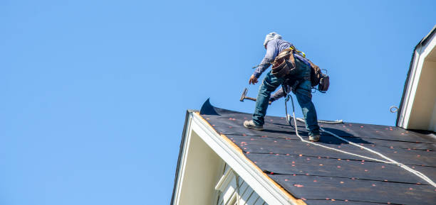 Best Roof Gutter Cleaning  in Sleepy Hollow Lake, NY